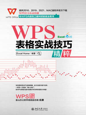 cover image of WPS 表格实战技巧精粹